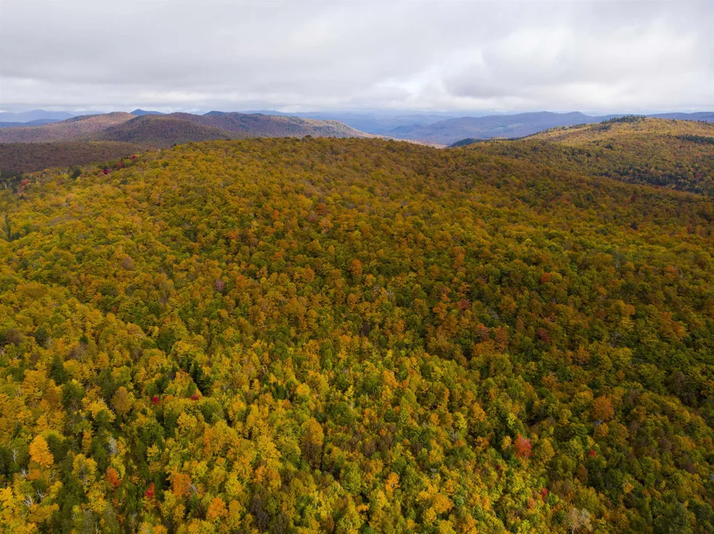 00 River Road Killington VT 05751