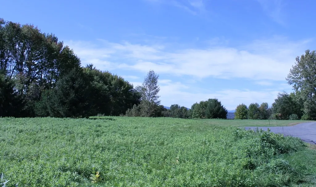 Tbd Buena Vista Circle Barre Town VT 05641