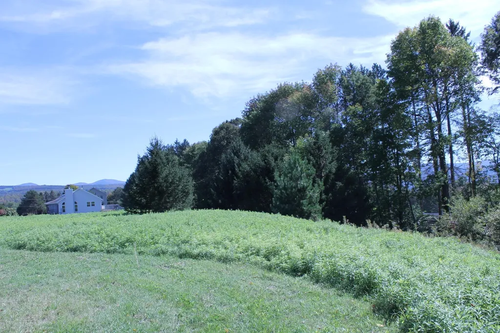 Tbd Buena Vista Circle Barre Town VT 05641