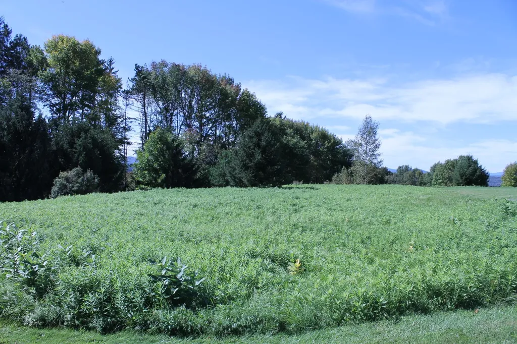 Tbd Buena Vista Circle Barre Town VT 05641
