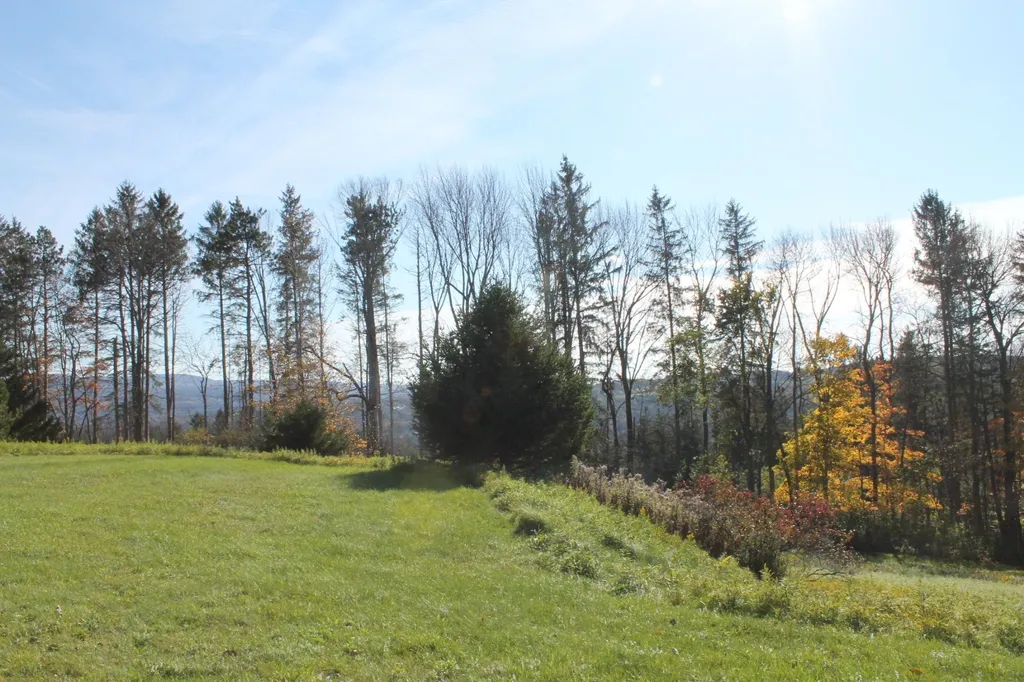 Tbd Buena Vista Circle Barre Town VT 05641