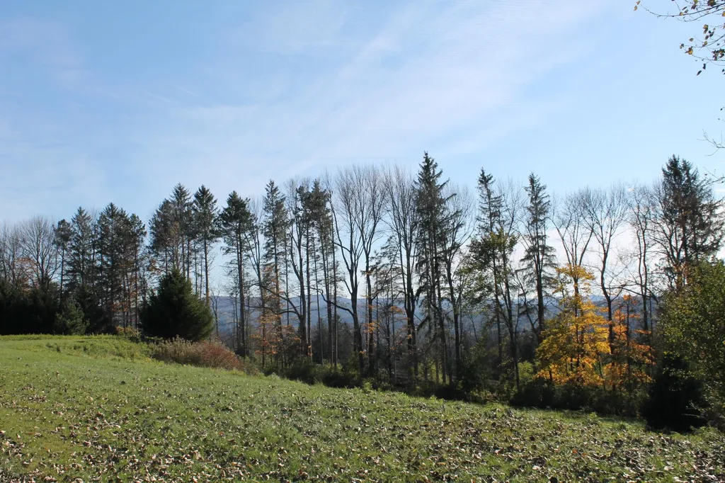 Tbd Buena Vista Circle Barre Town VT 05641