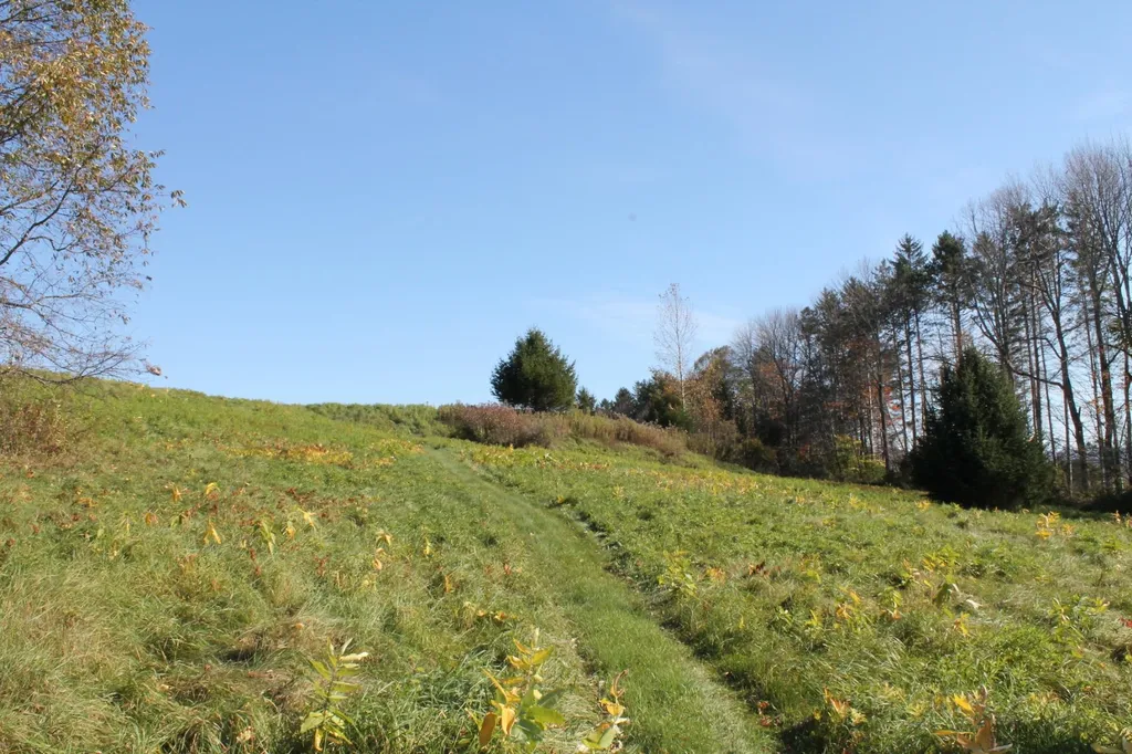 Tbd Buena Vista Circle Barre Town VT 05641