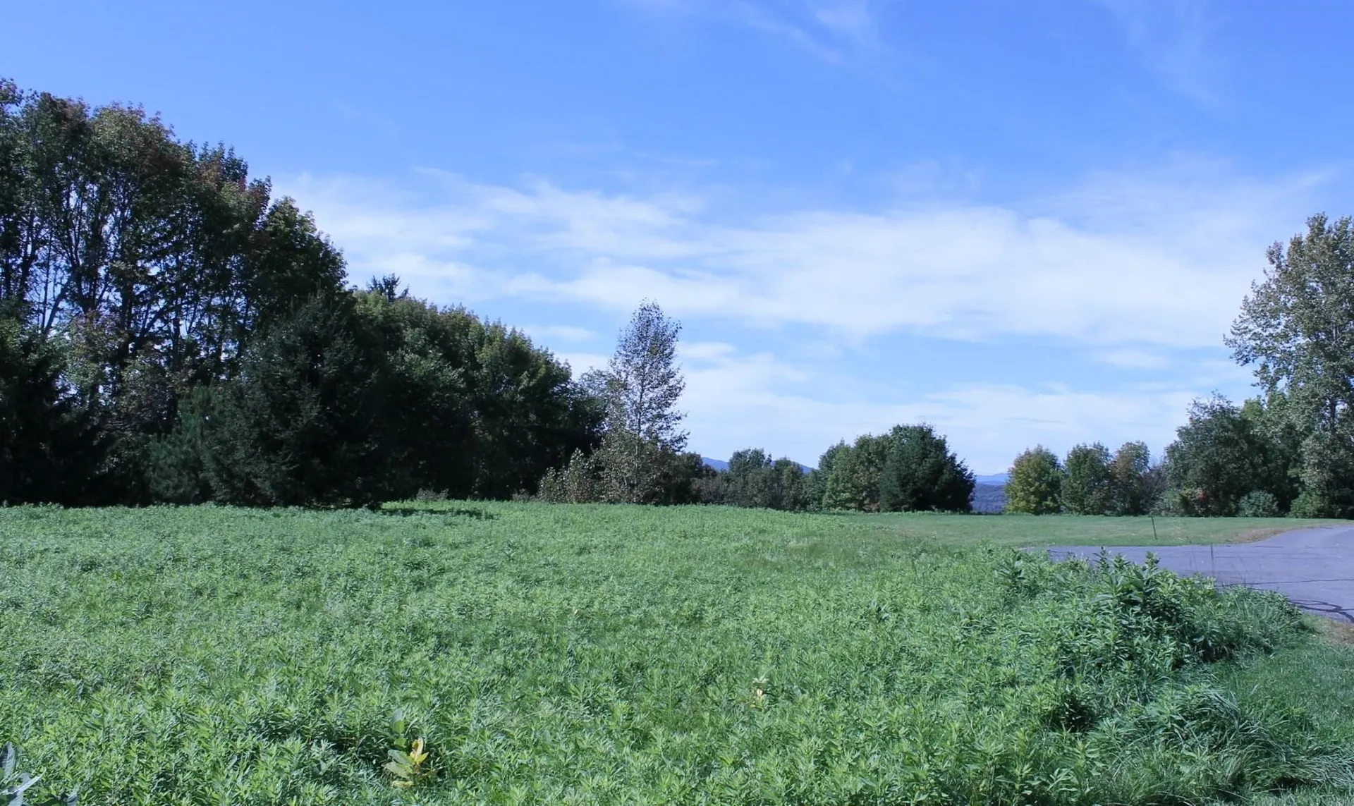 Tbd Buena Vista Circle Barre Town VT 05641