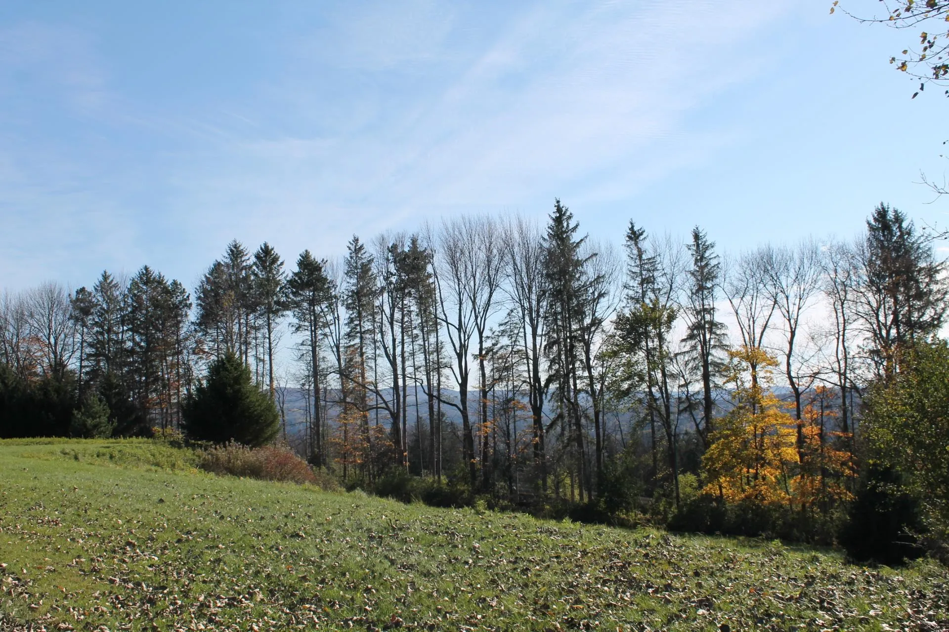 Tbd Buena Vista Circle Barre Town VT 05641