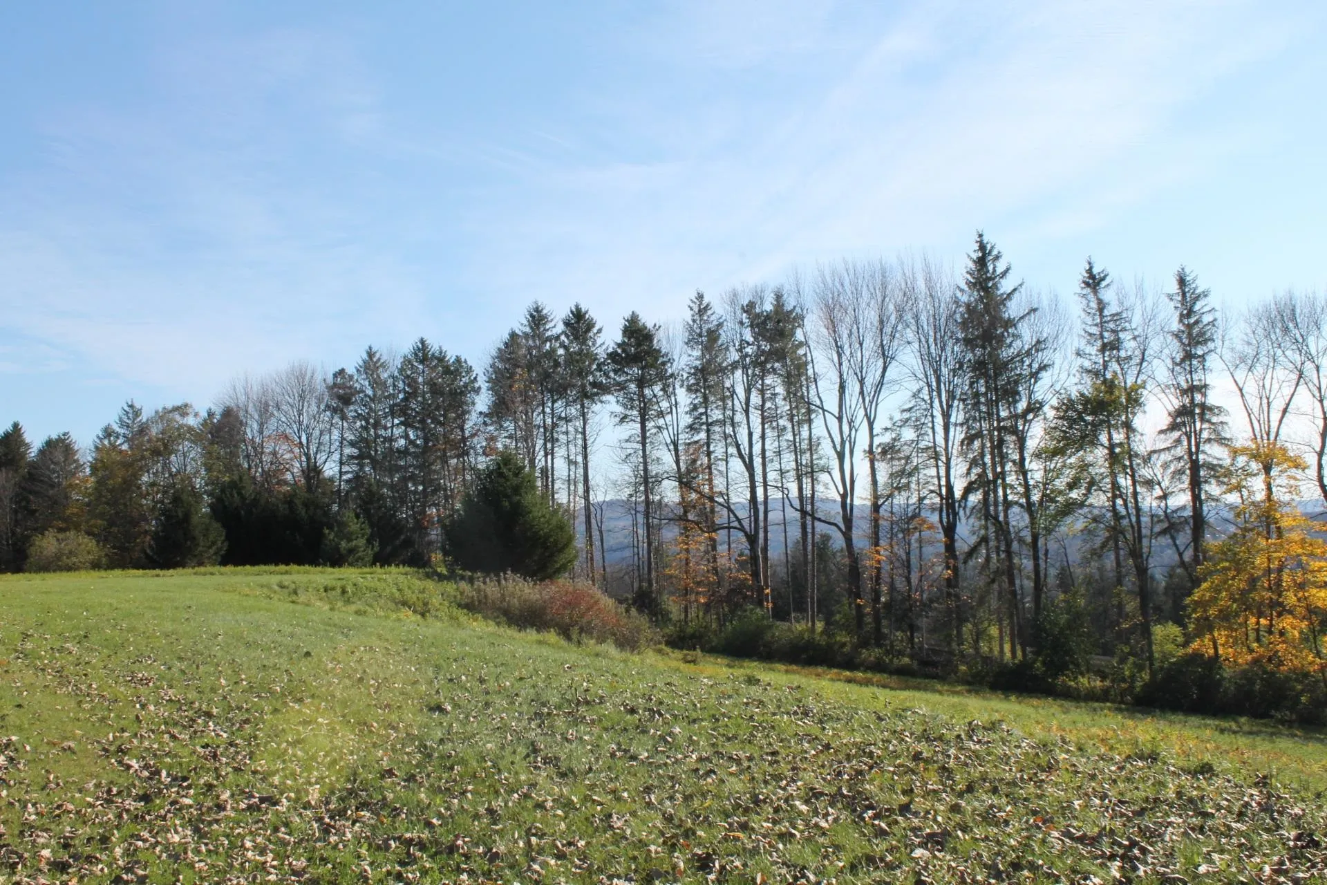 Tbd Buena Vista Circle Barre Town VT 05641