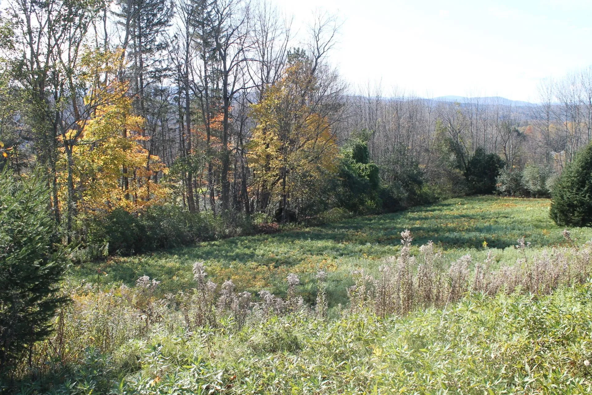 Tbd Buena Vista Circle Barre Town VT 05641