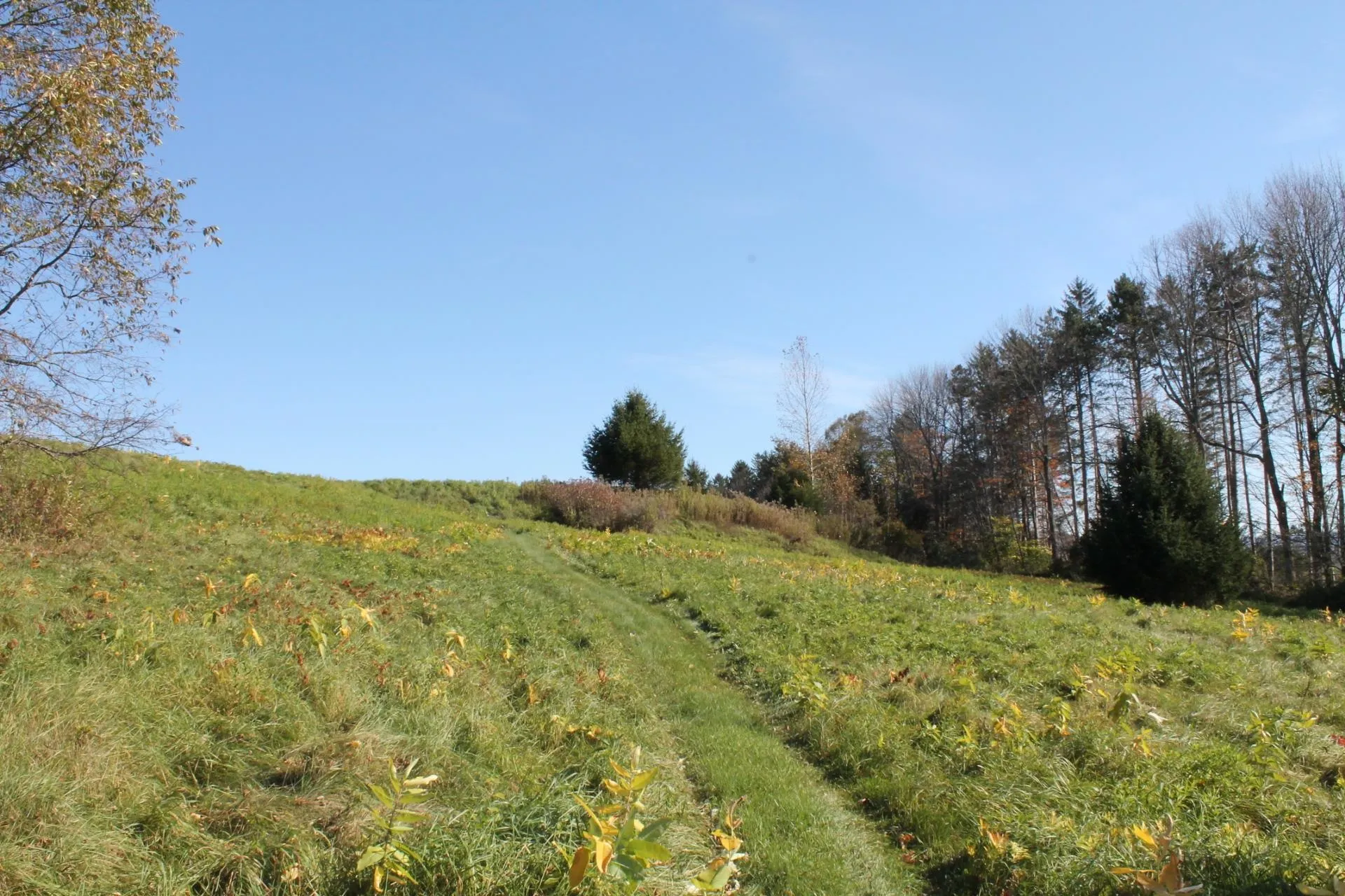 Tbd Buena Vista Circle Barre Town VT 05641