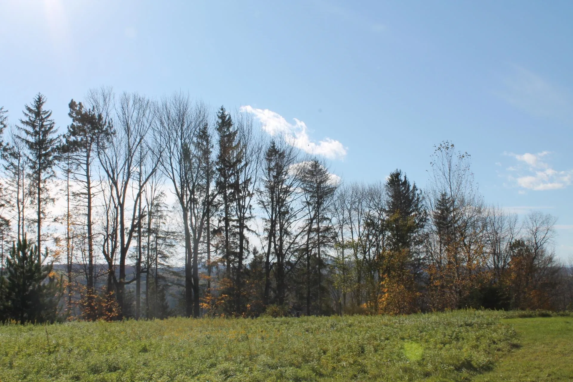 Tbd Buena Vista Circle Barre Town VT 05641