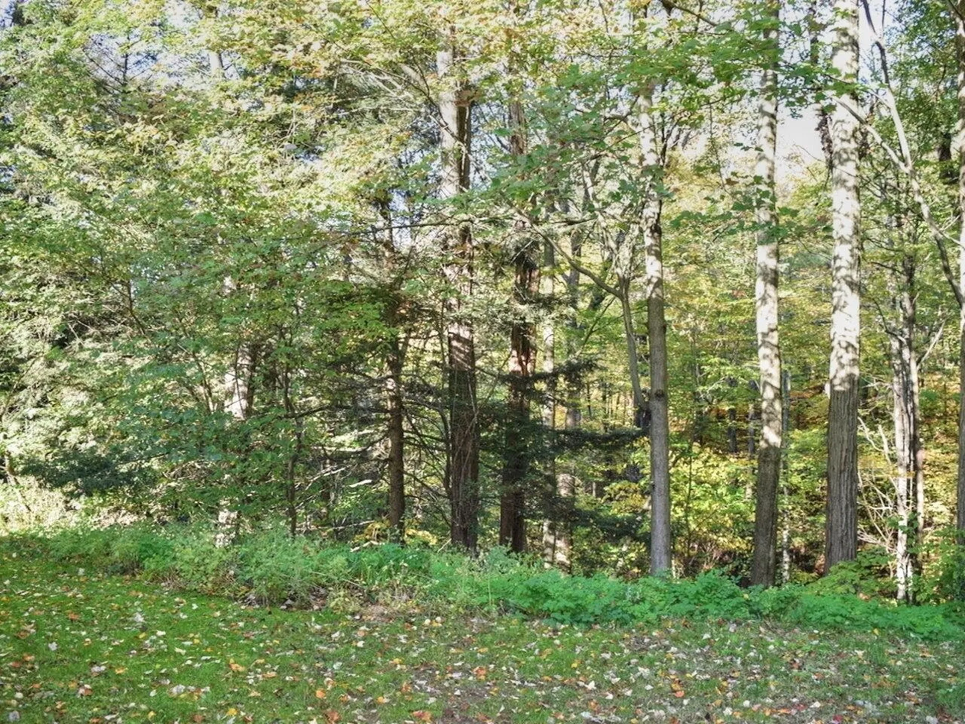 355 Patchen Road South Burlington VT 05403