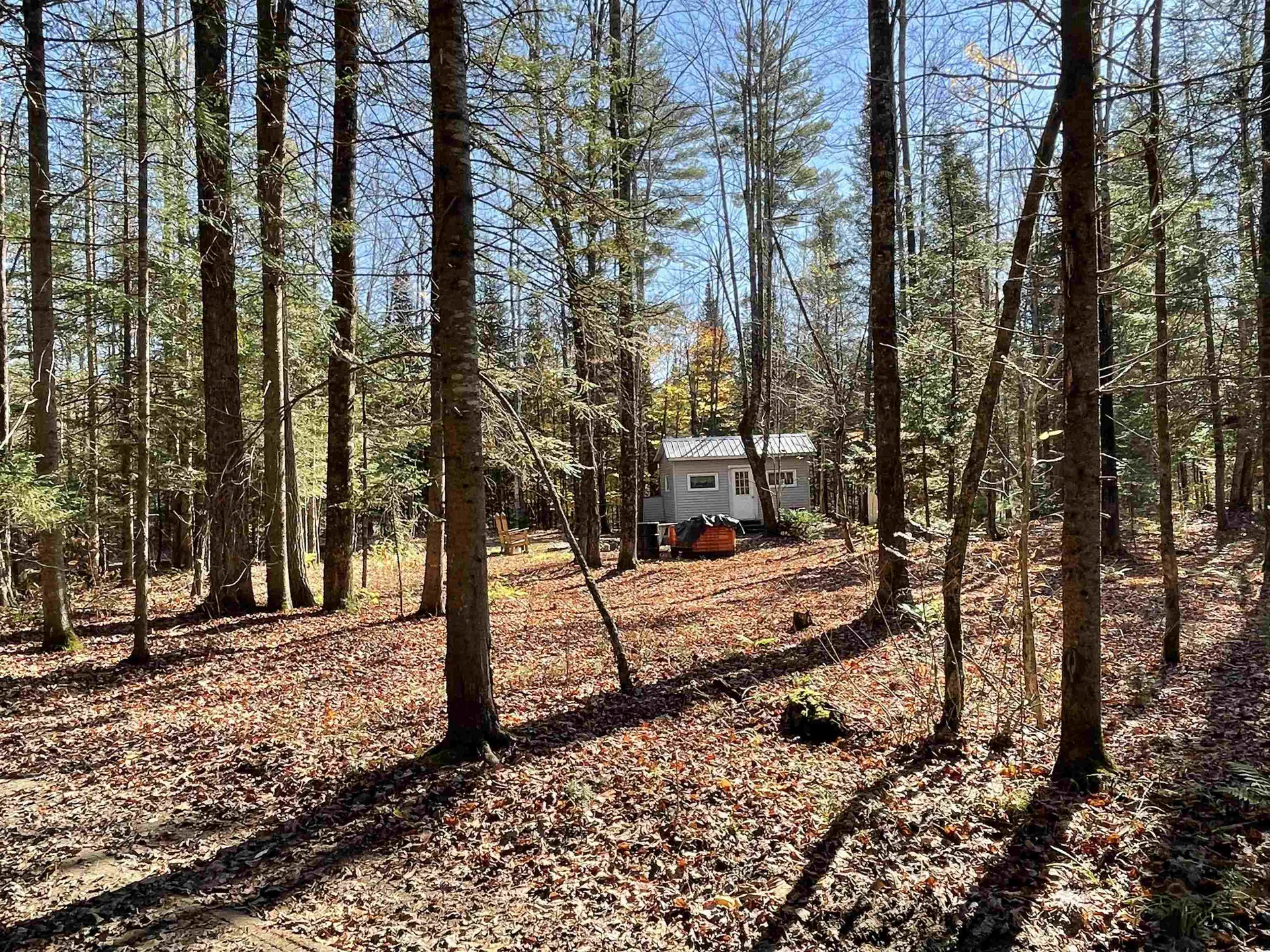 230 White School Road Burke VT 05832