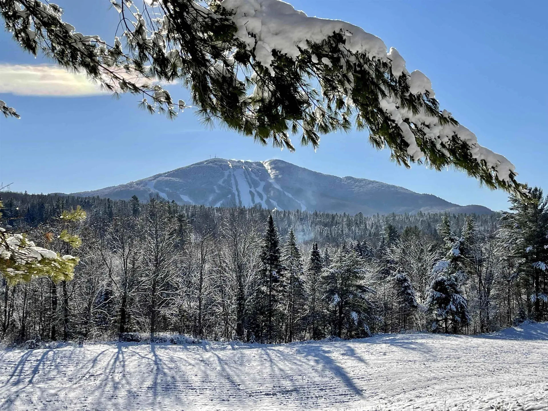 230 White School Road Burke VT 05832