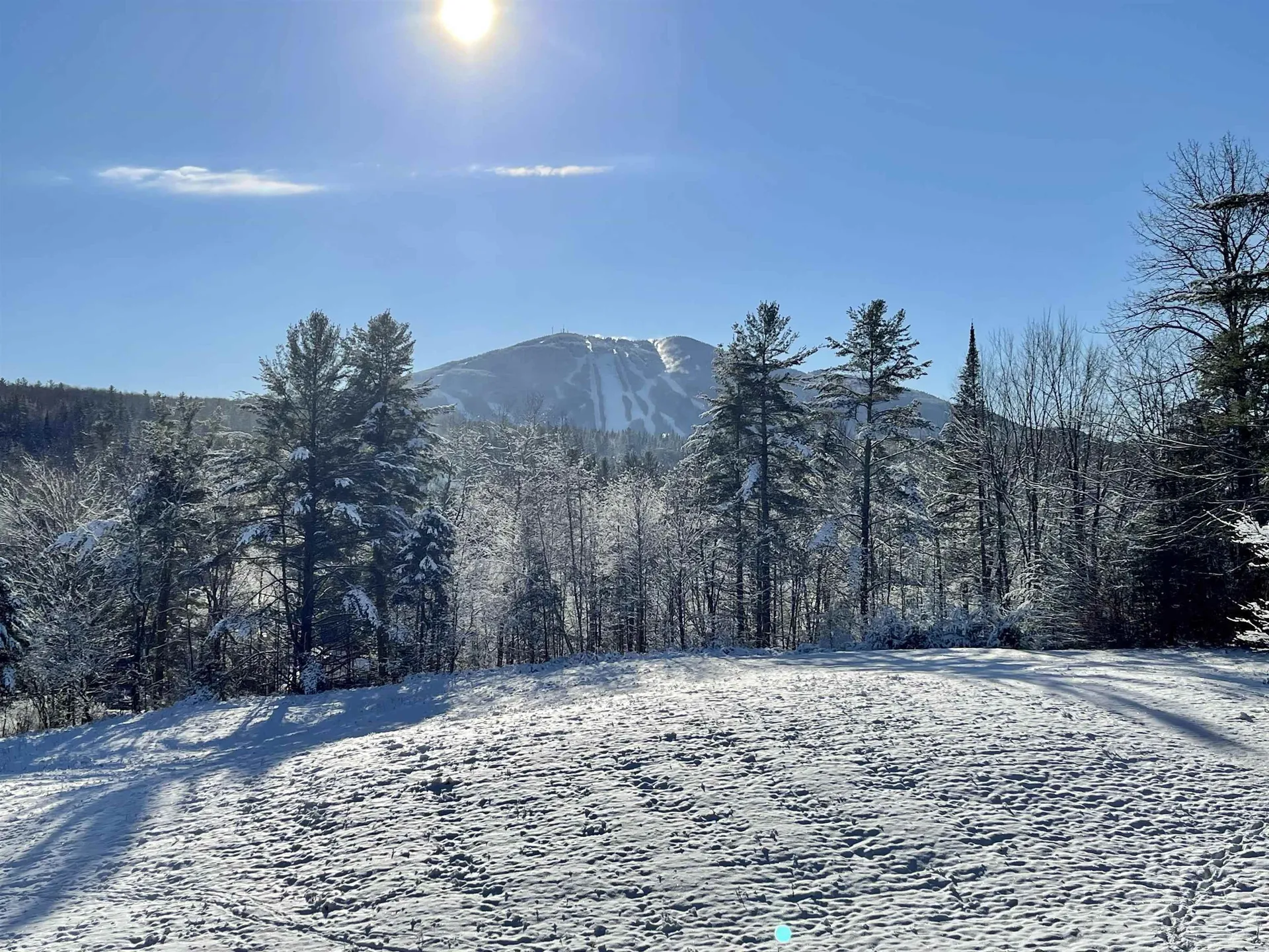 230 White School Road Burke VT 05832