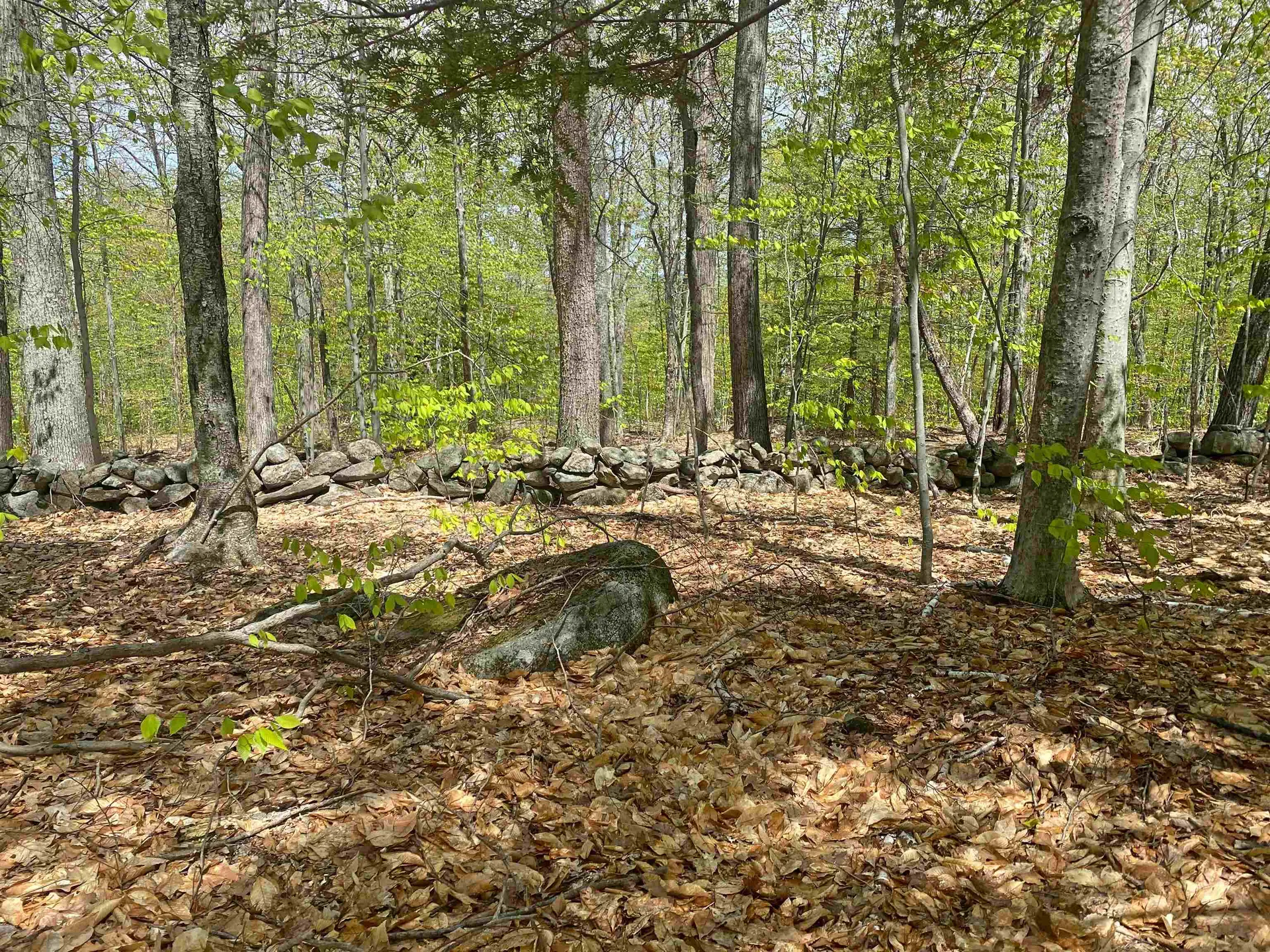 107 Winona Road Meredith NH 03253