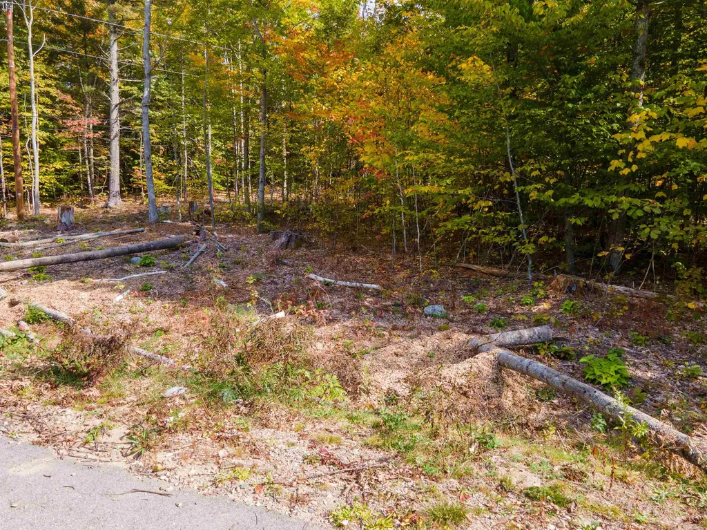 7 Lady Slipper Lane Moultonborough NH 03254