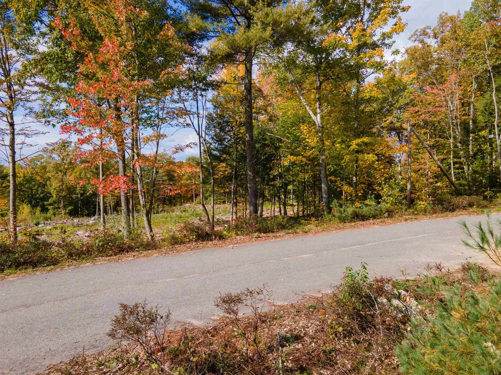 7 Lady Slipper Lane Moultonborough NH 03254