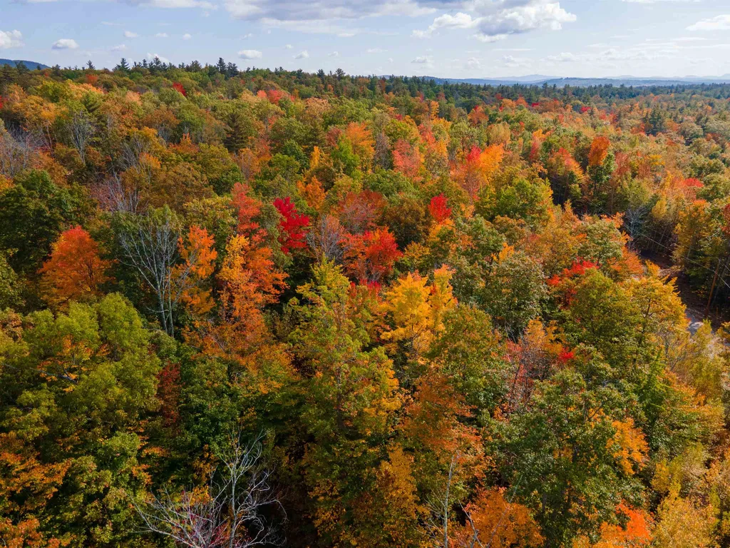 7 Lady Slipper Lane Moultonborough NH 03254