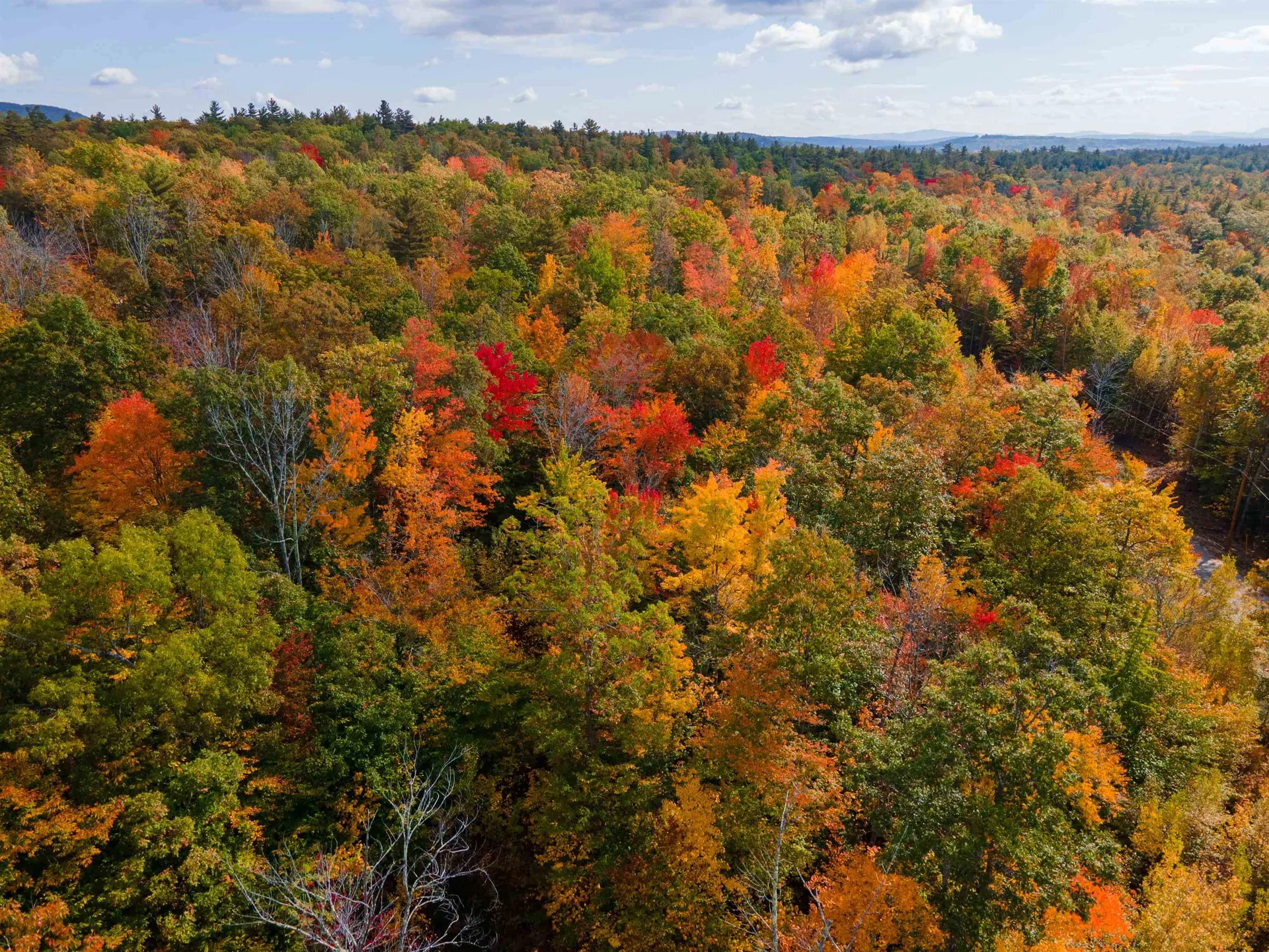7 Lady Slipper Lane Moultonborough NH 03254