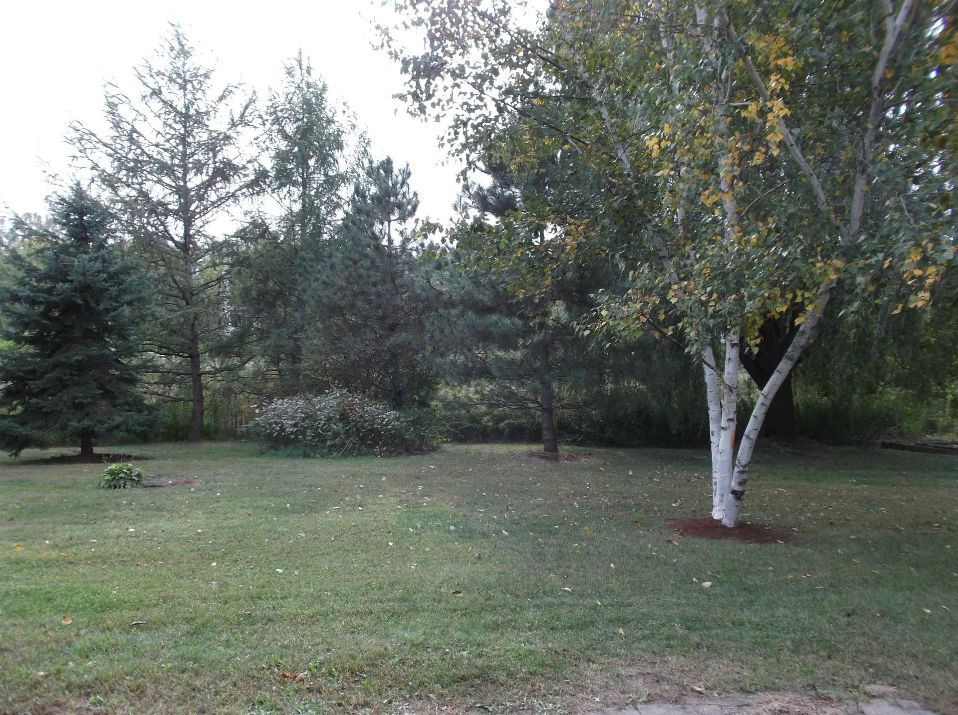 87 Irish Cove Road South Burlington VT 05403