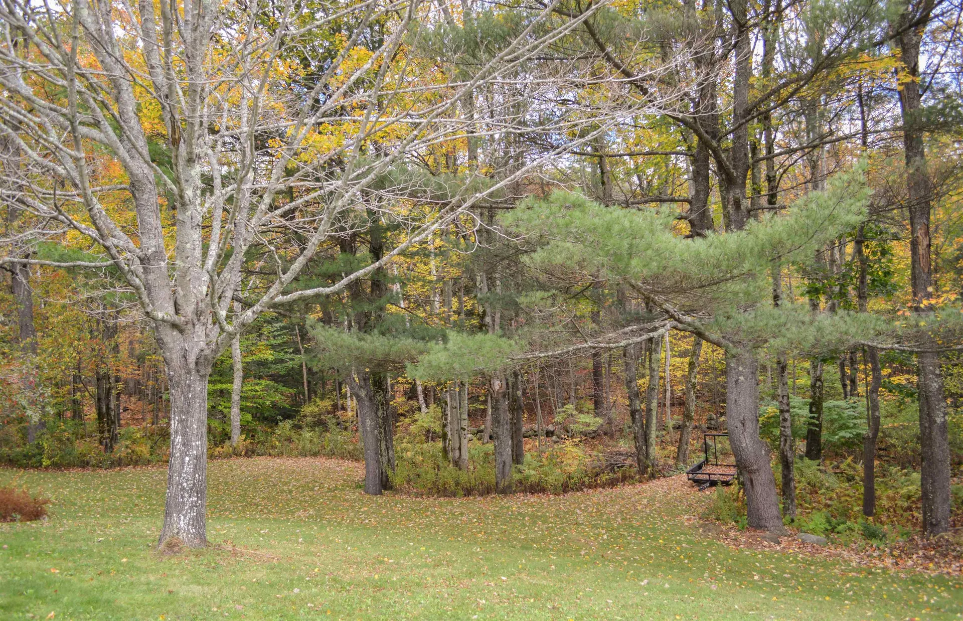 314 Breed Road Harrisville NH 03450