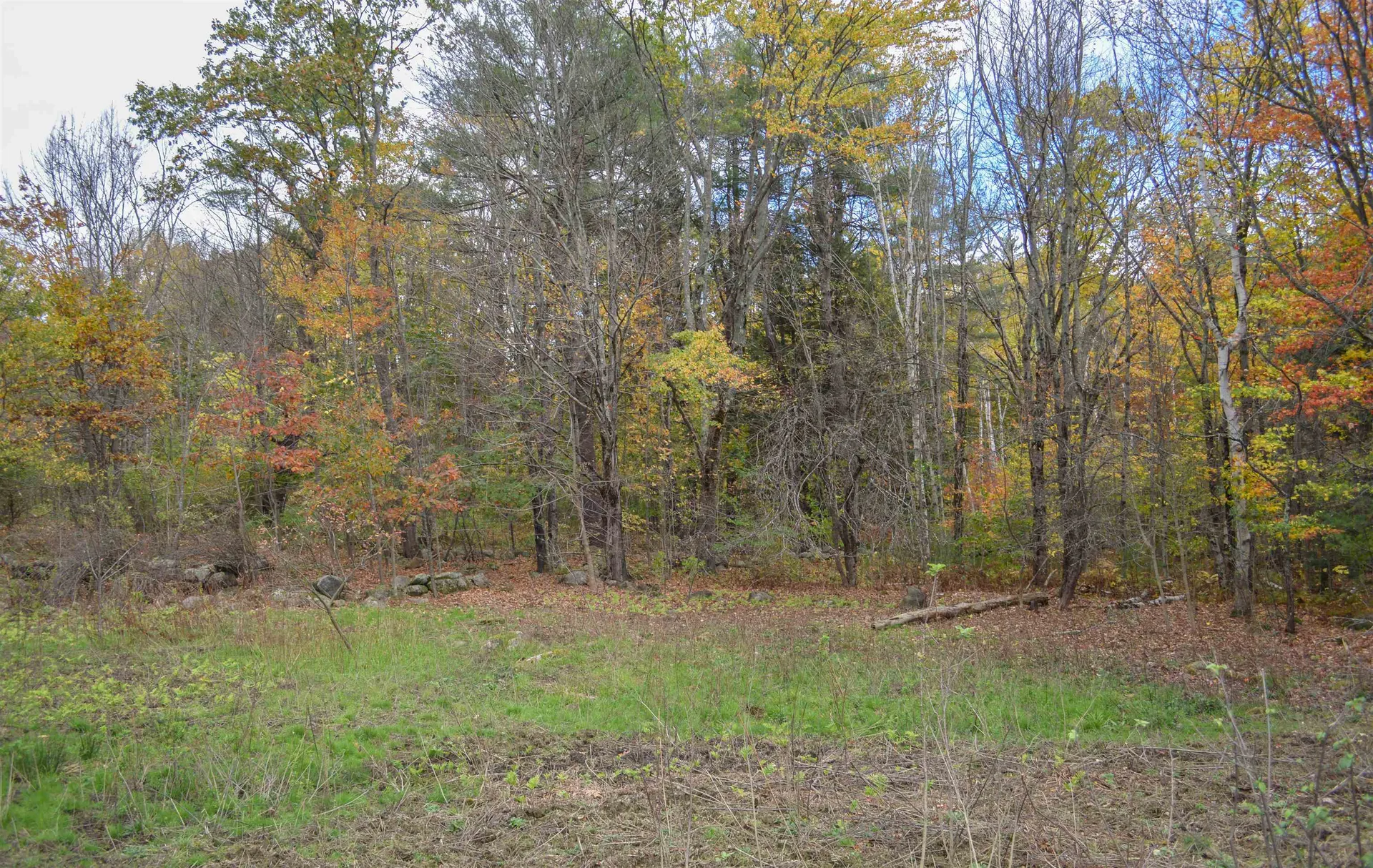 314 Breed Road Harrisville NH 03450
