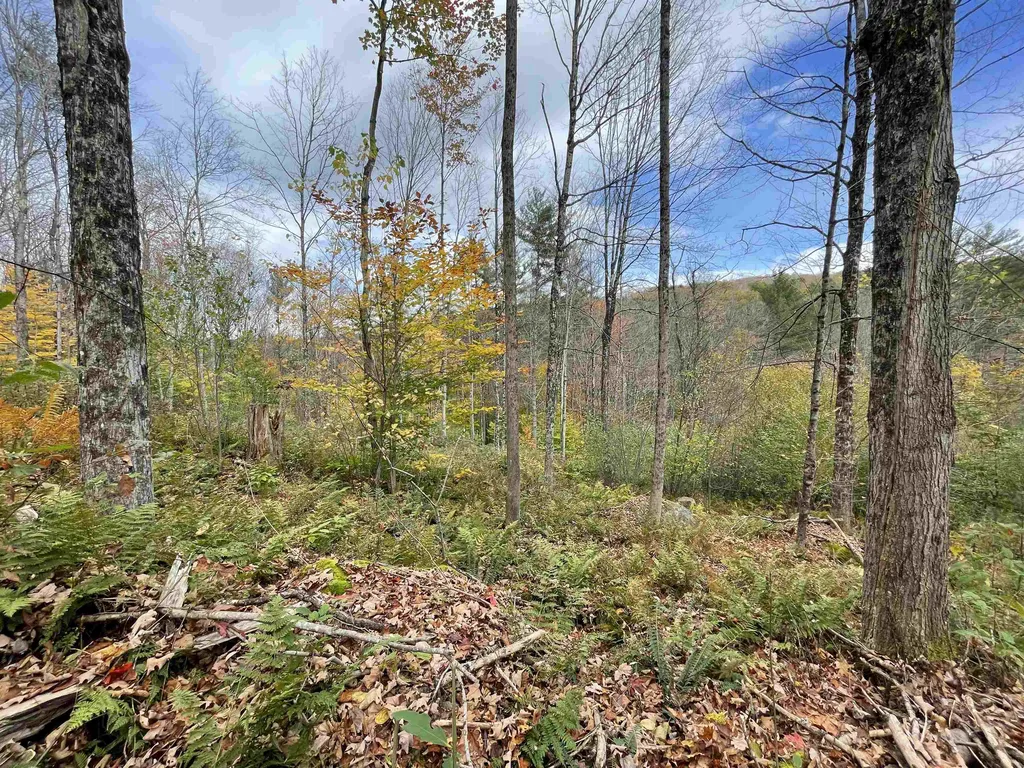 00 Meriden Road Lebanon NH 03766