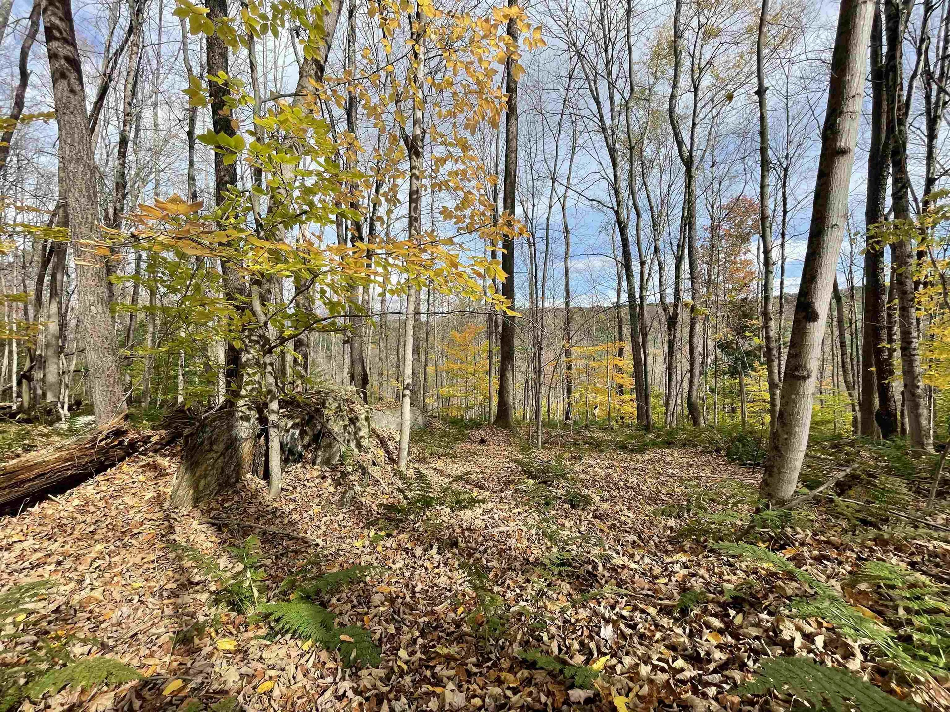 00 Meriden Road Lebanon NH 03766