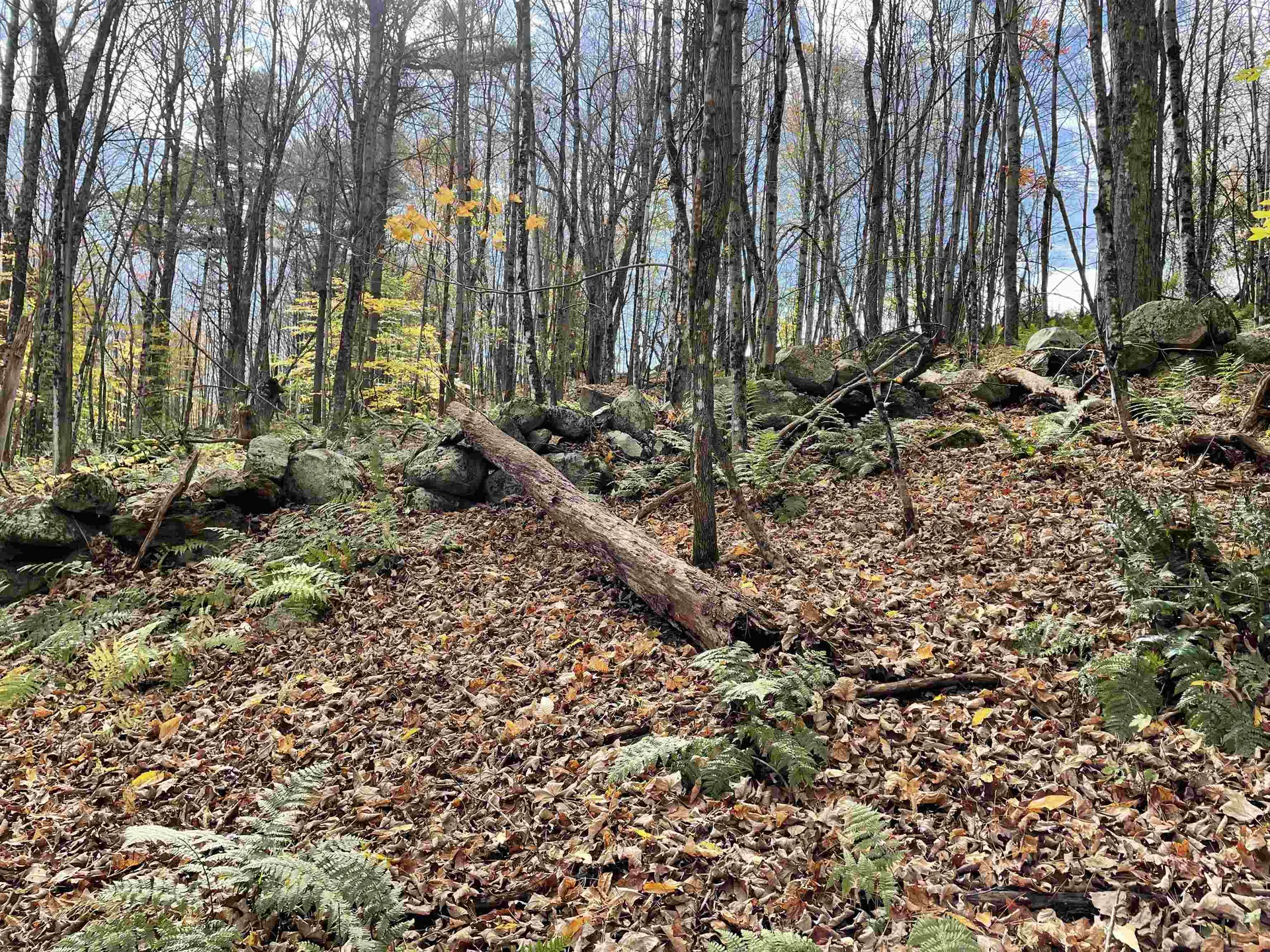 00 Meriden Road Lebanon NH 03766
