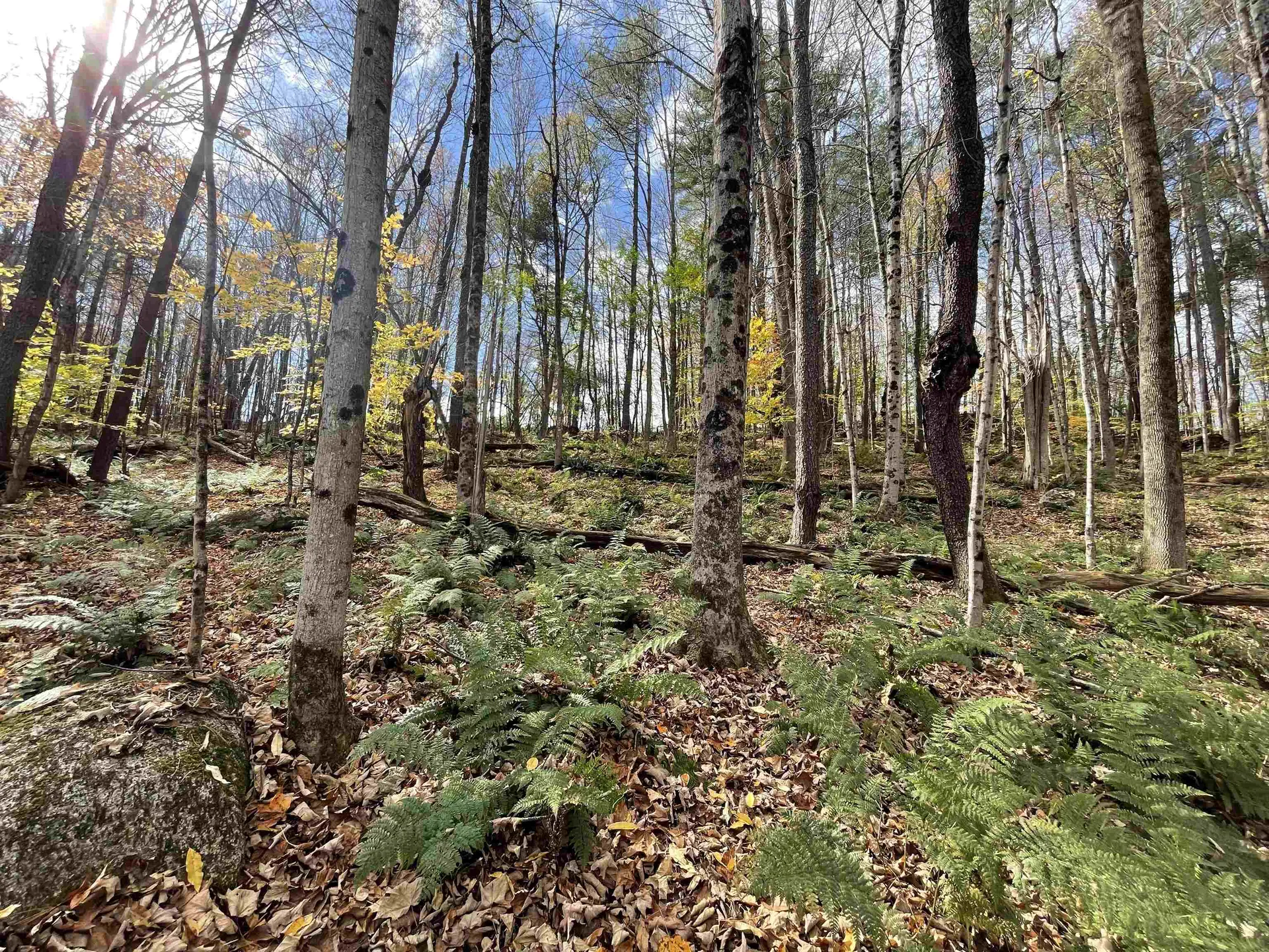 00 Meriden Road Lebanon NH 03766
