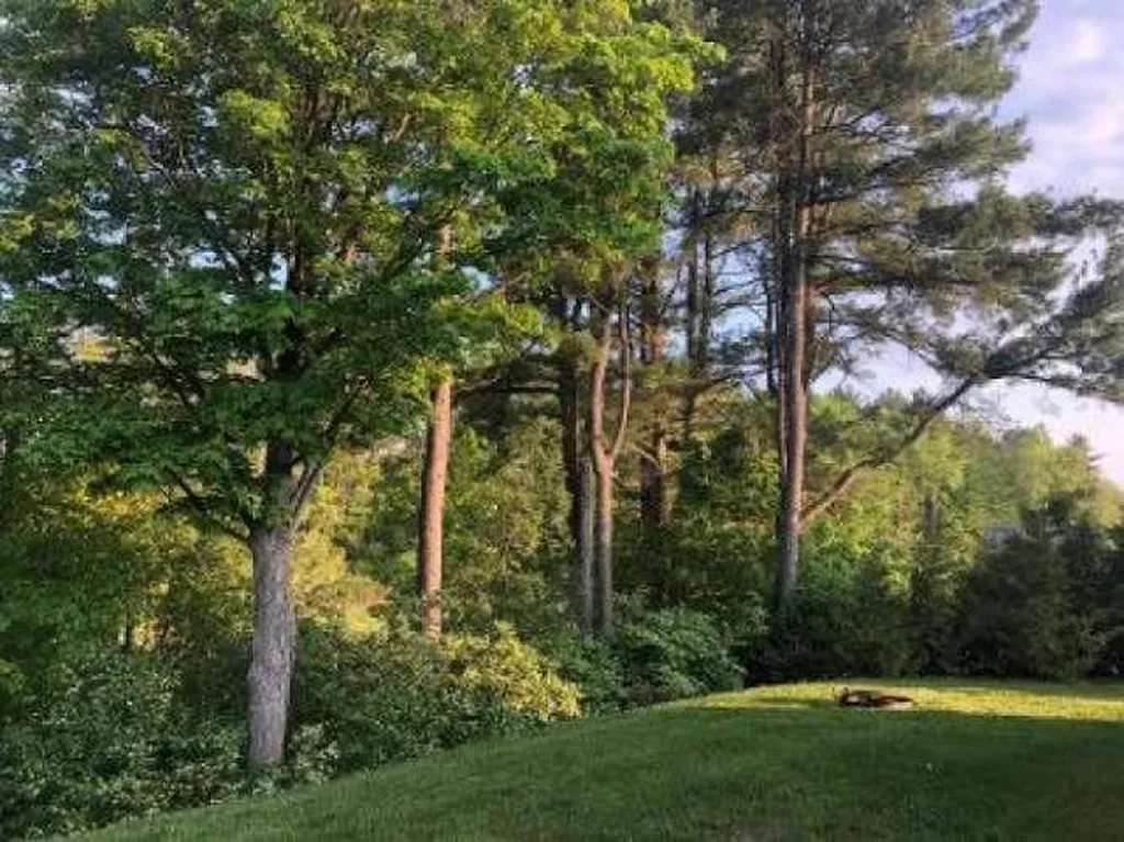 78 Meadow Glen Drive Middlebury VT 05753