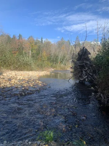 Lot E Cobb Farm Road Bartlett NH 03812