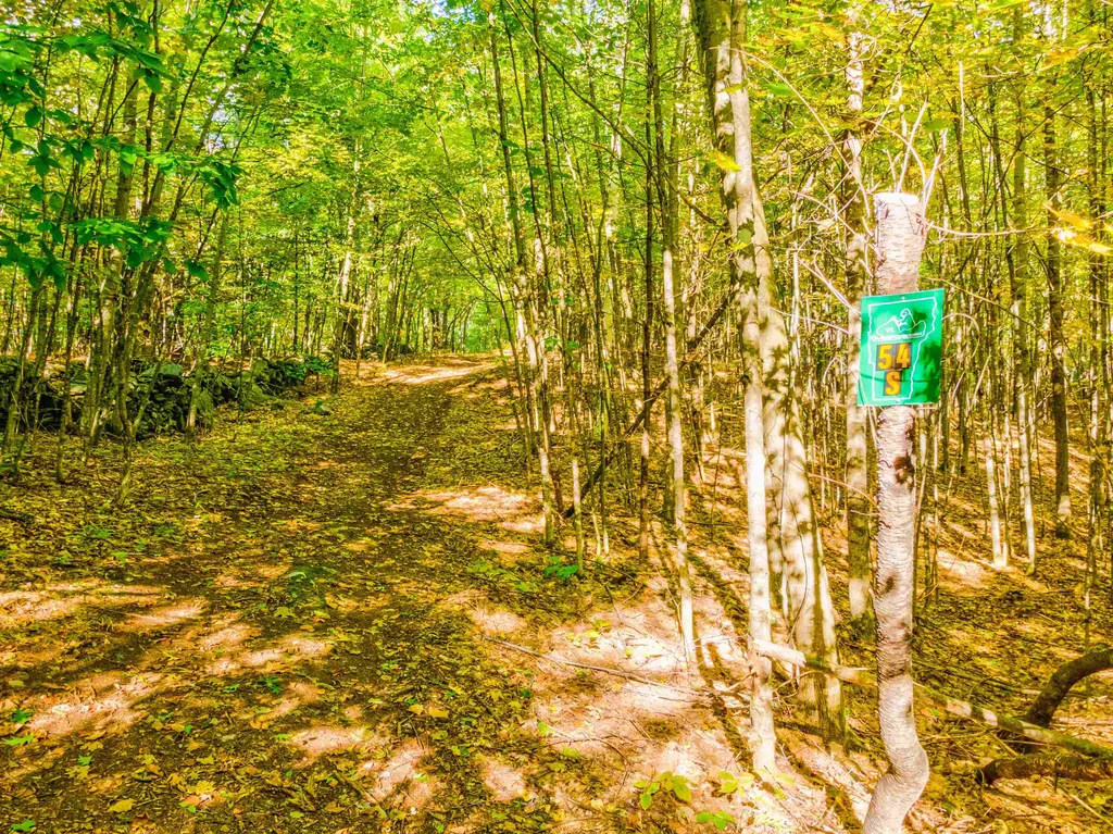 69-2 Advent Hill Road Hartland VT 05048