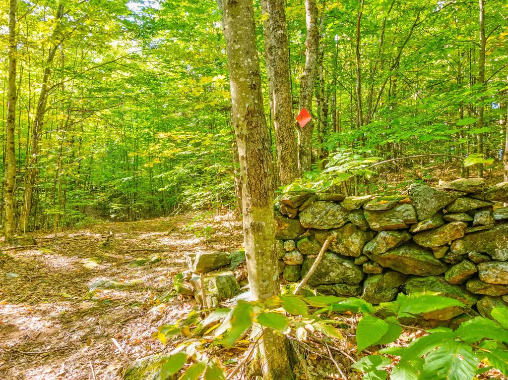 69-2 Advent Hill Road Hartland VT 05048