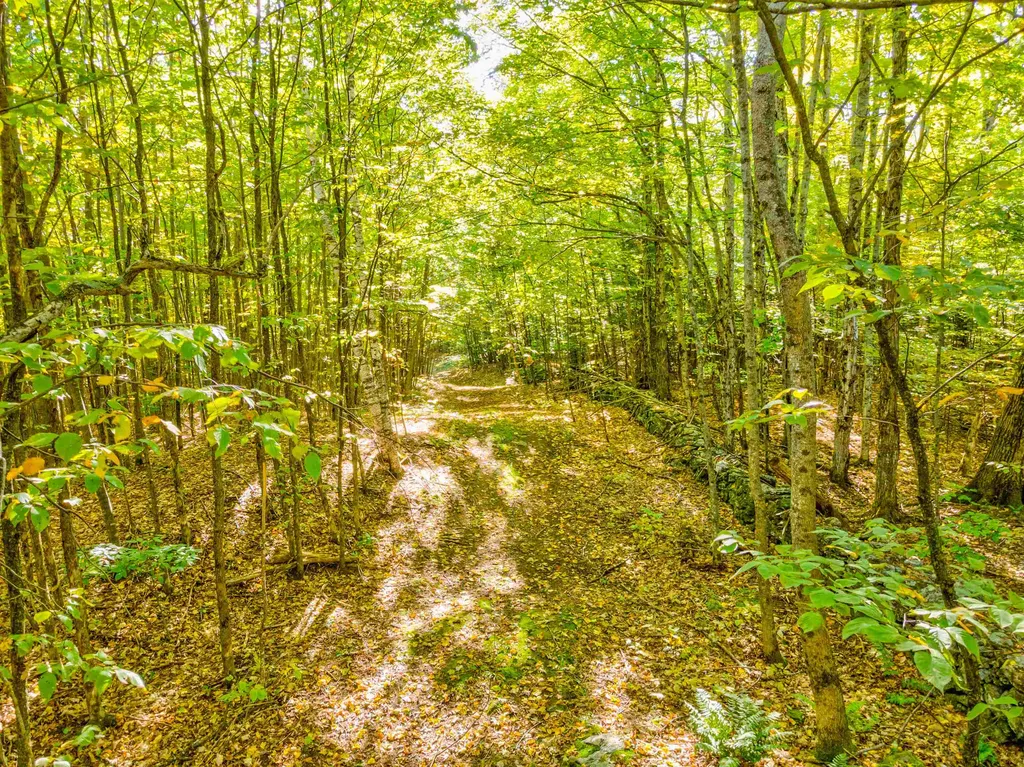 69-2 Advent Hill Road Hartland VT 05048