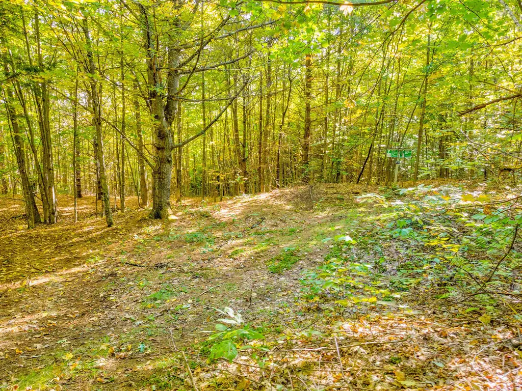 69-2 Advent Hill Road Hartland VT 05048