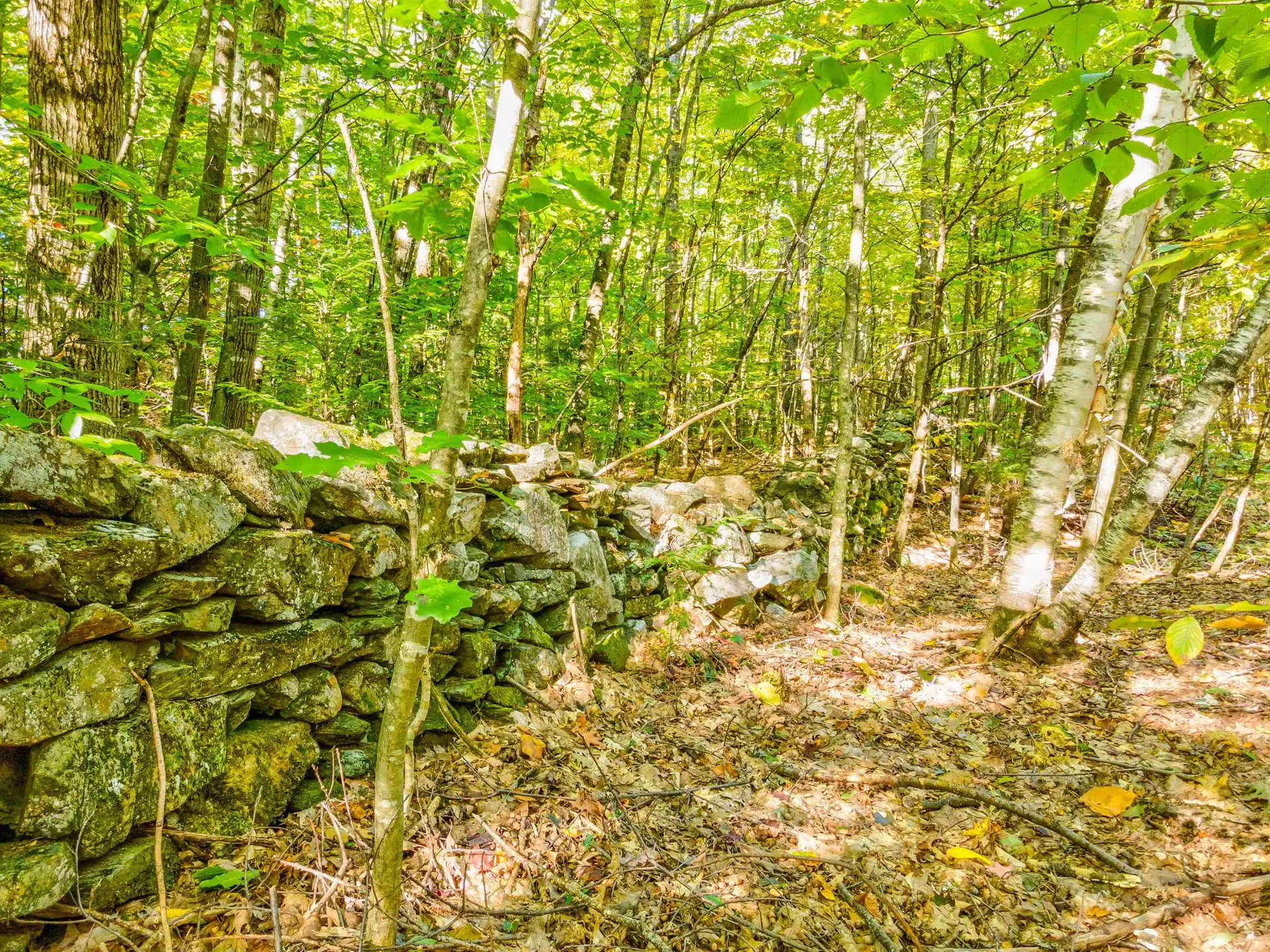 69-2 Advent Hill Road Hartland VT 05048