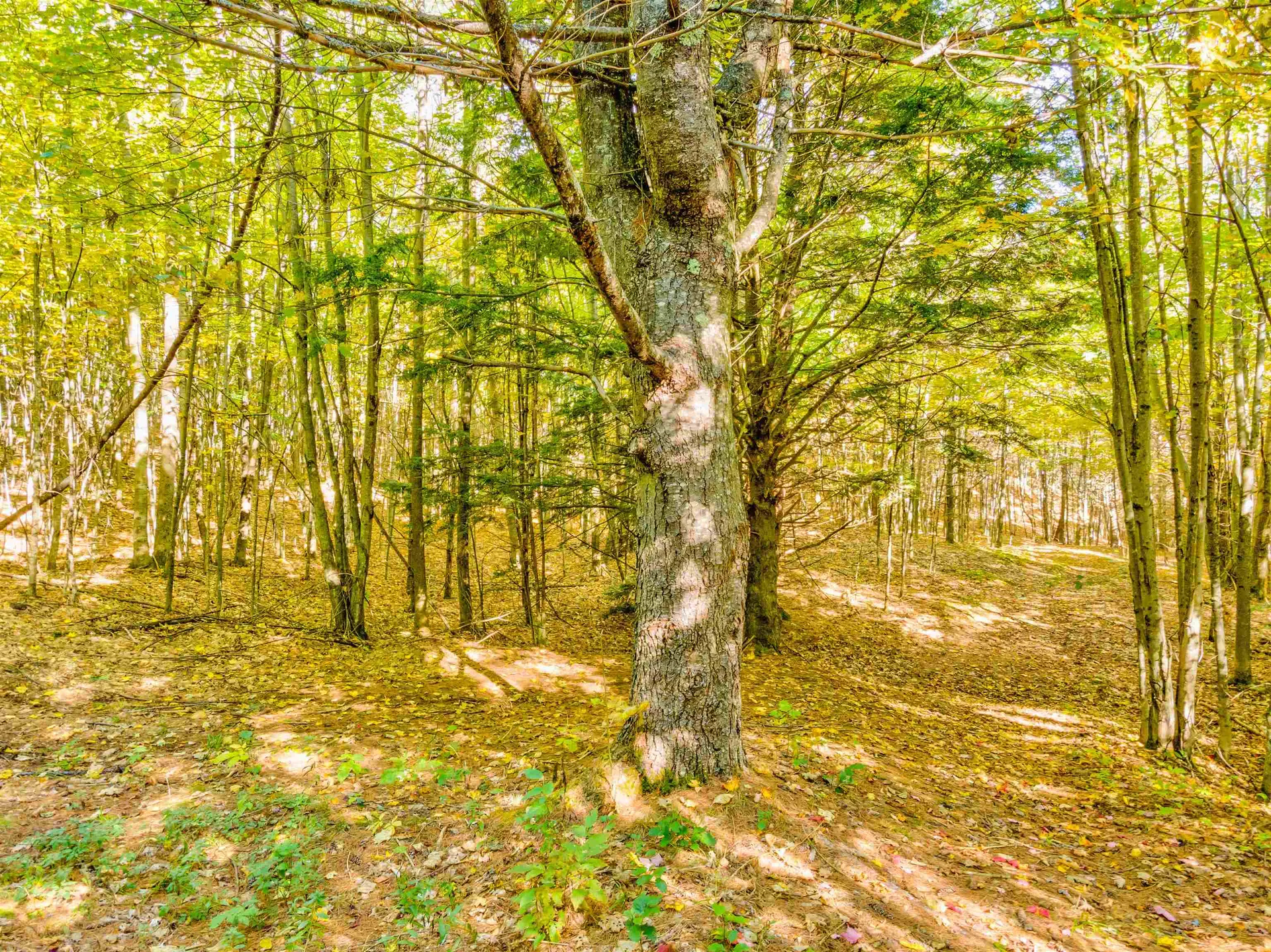 69-2 Advent Hill Road Hartland VT 05048