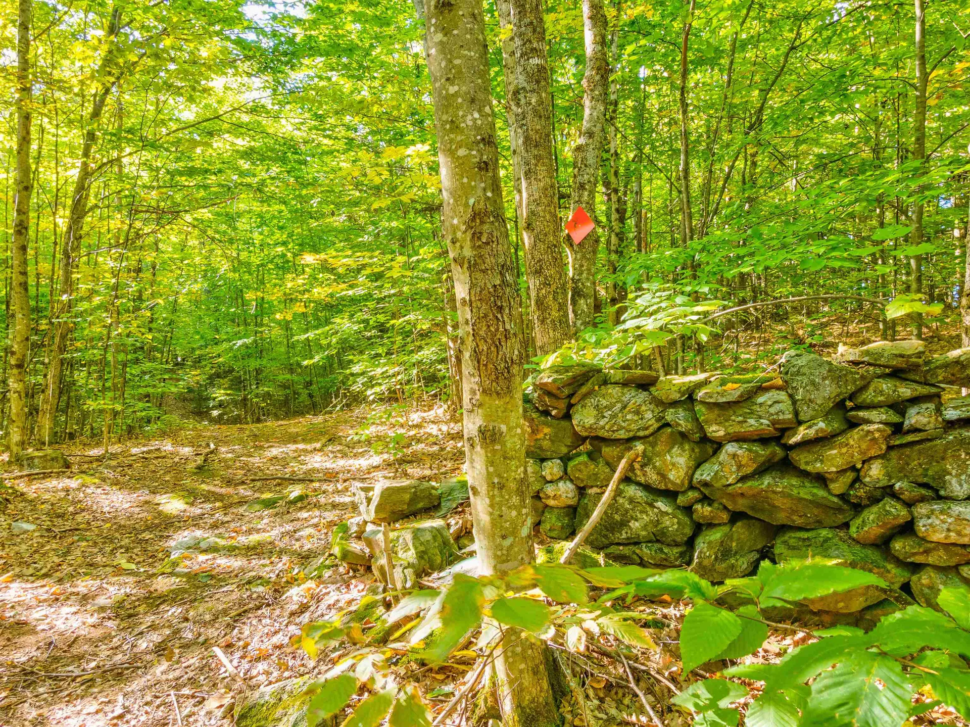69-2 Advent Hill Road Hartland VT 05048