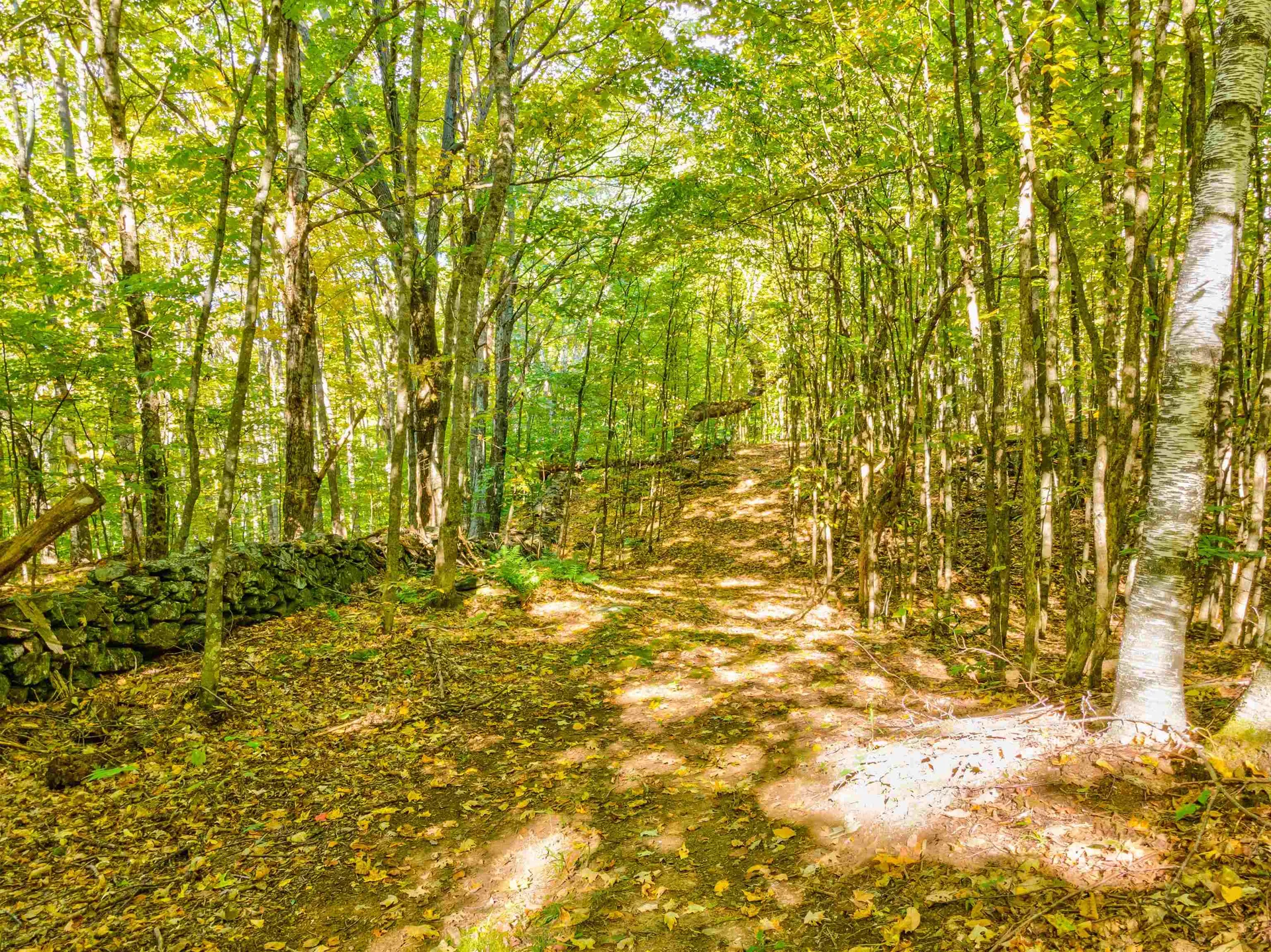 69-2 Advent Hill Road Hartland VT 05048