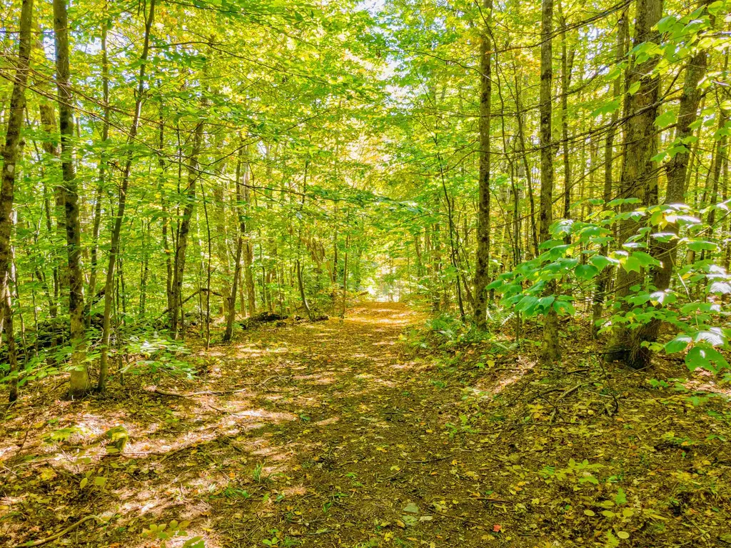 69-1 Advent Hill Road Hartland VT 05048