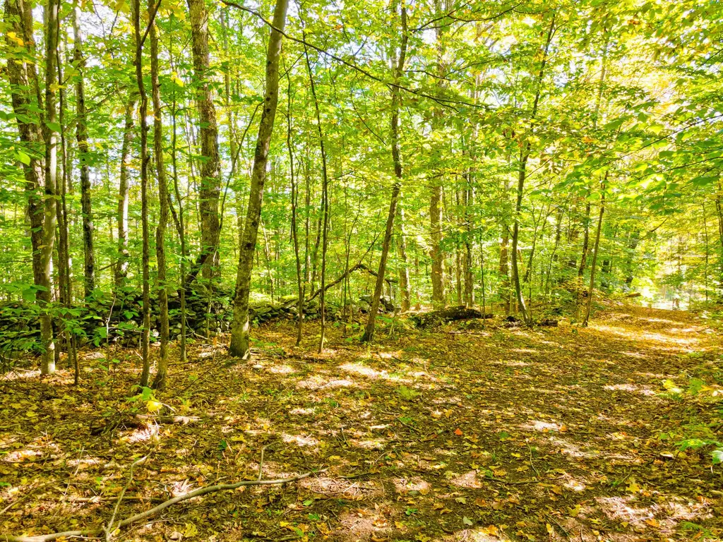 69-1 Advent Hill Road Hartland VT 05048
