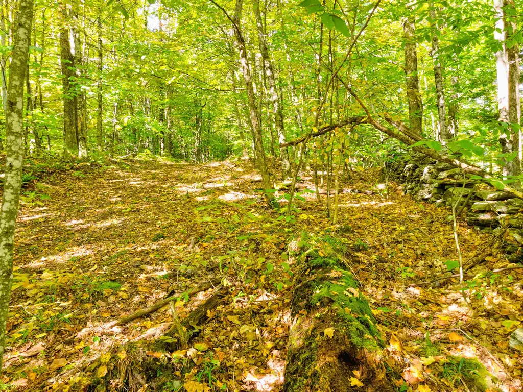 69-1 Advent Hill Road Hartland VT 05048