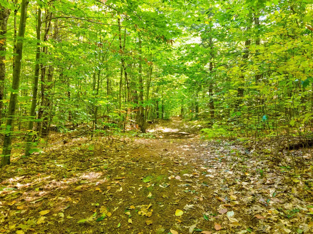 69-1 Advent Hill Road Hartland VT 05048