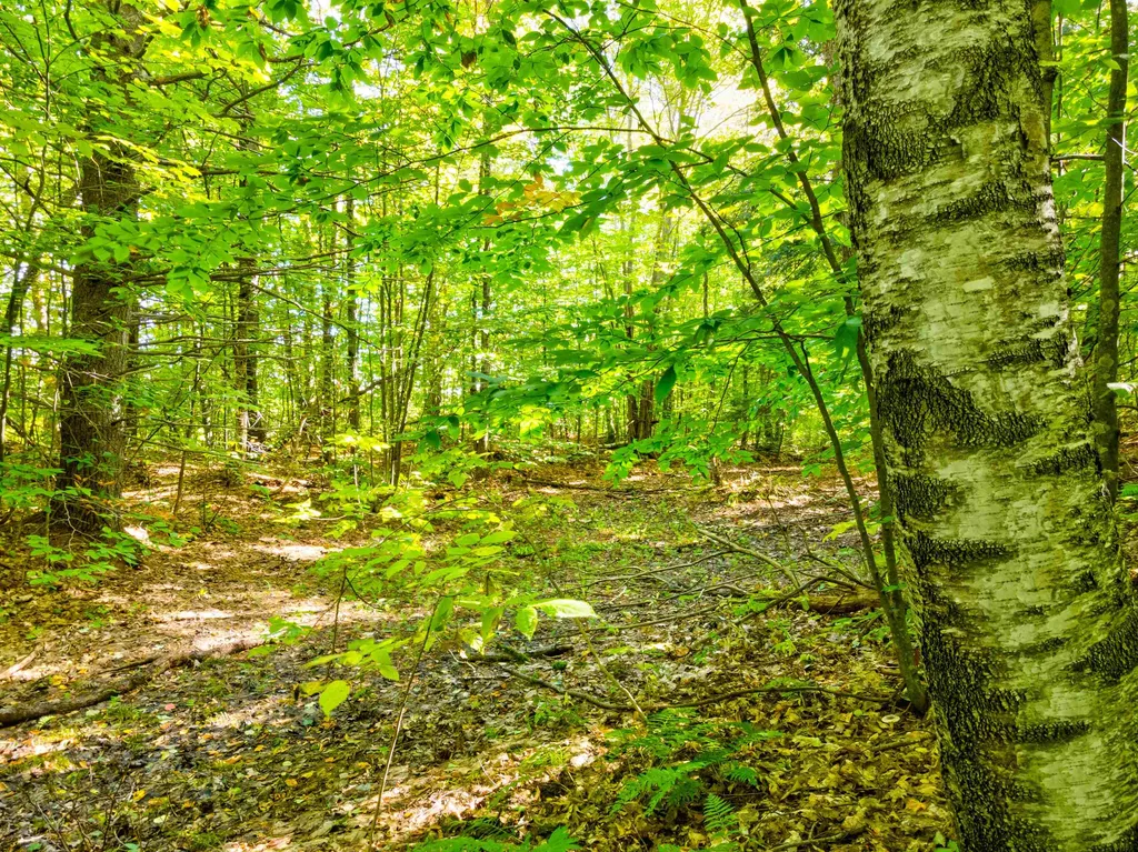69-1 Advent Hill Road Hartland VT 05048