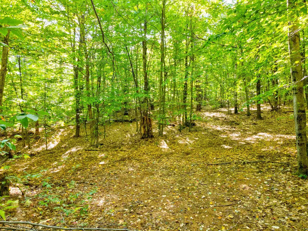 69-1 Advent Hill Road Hartland VT 05048