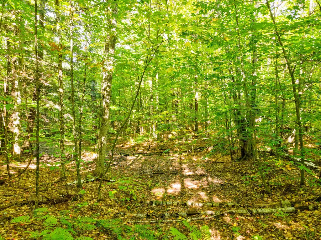 69-1 Advent Hill Road Hartland VT 05048