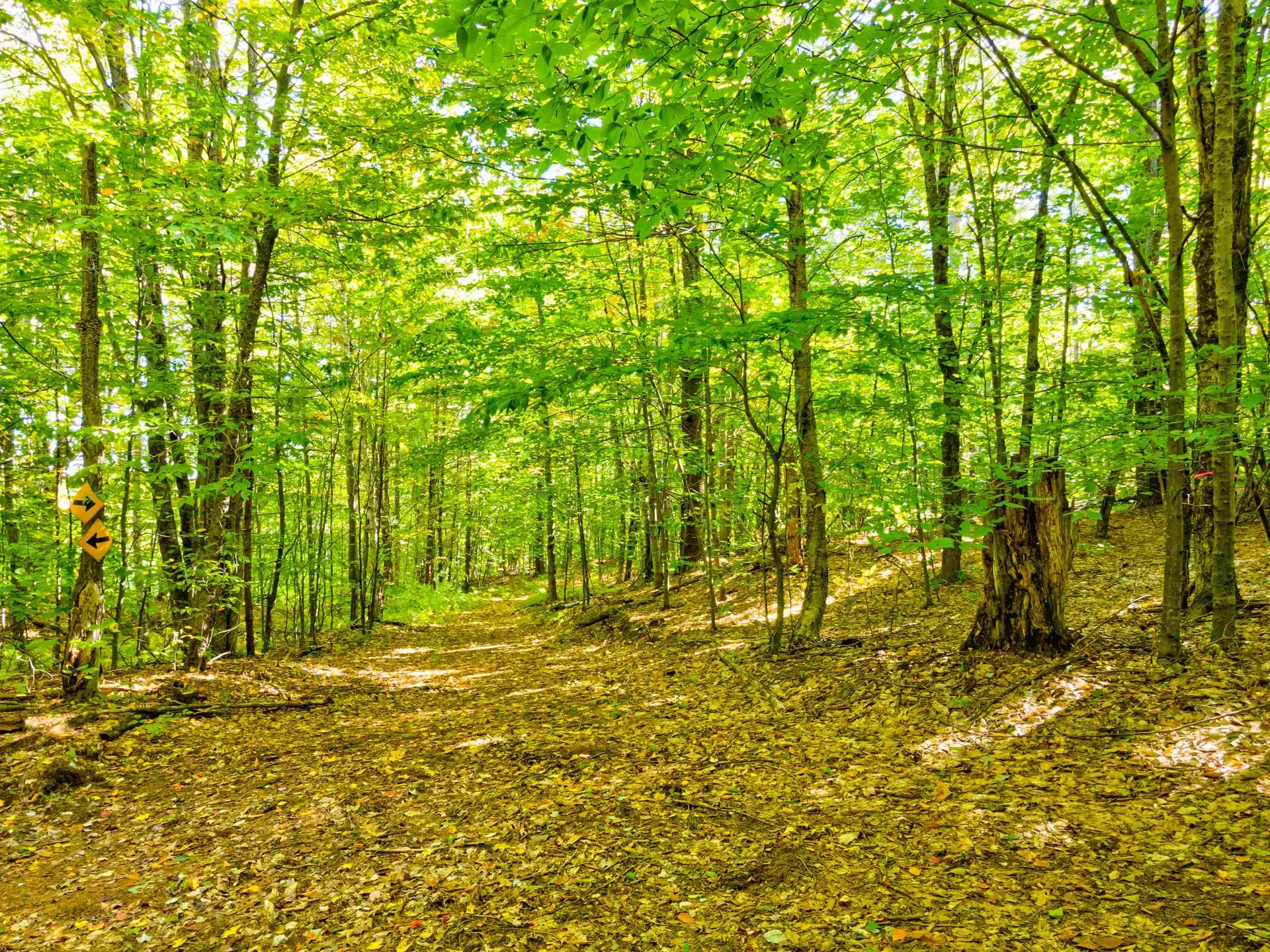 69-1 Advent Hill Road Hartland VT 05048
