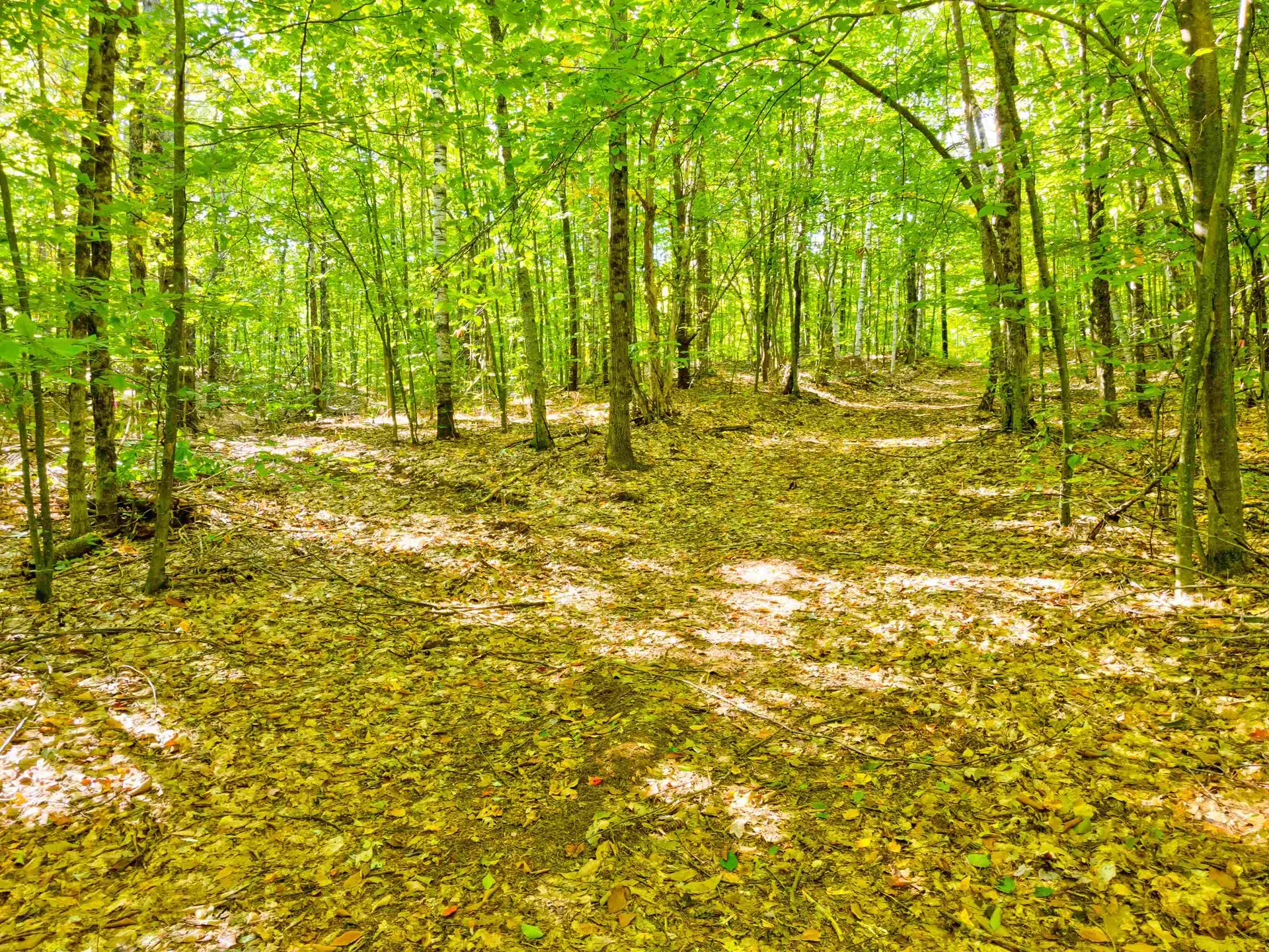 69-1 Advent Hill Road Hartland VT 05048