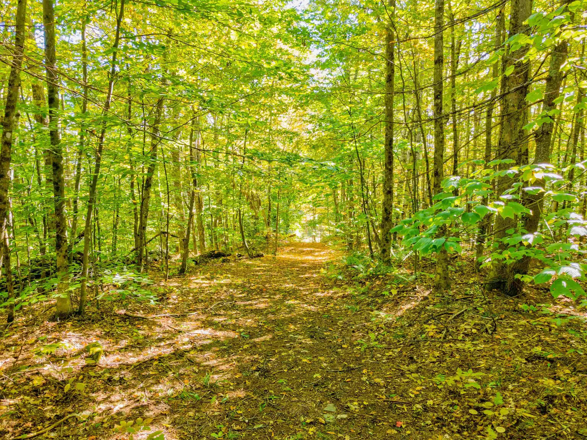 69-1 Advent Hill Road Hartland VT 05048
