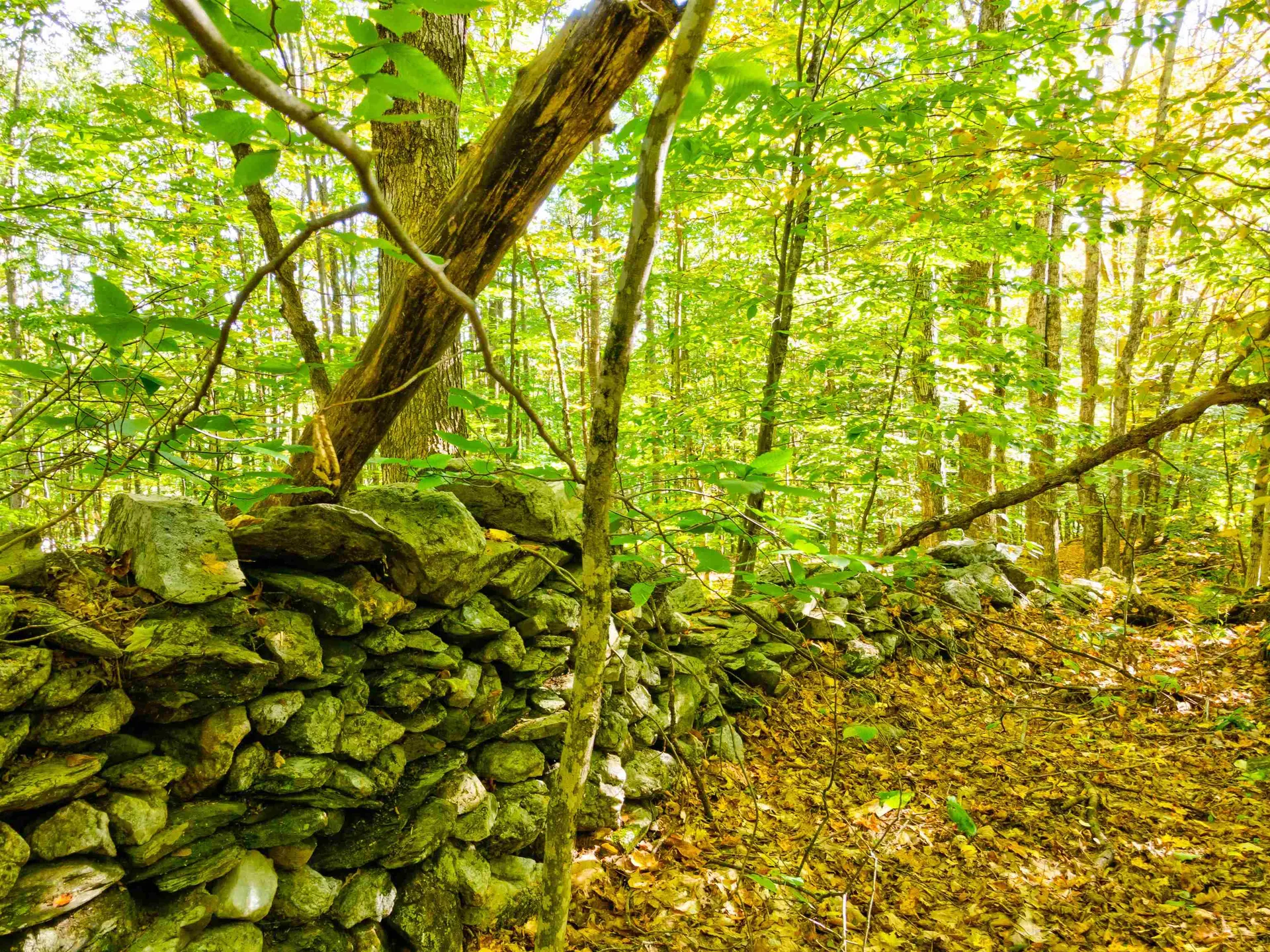 69-1 Advent Hill Road Hartland VT 05048